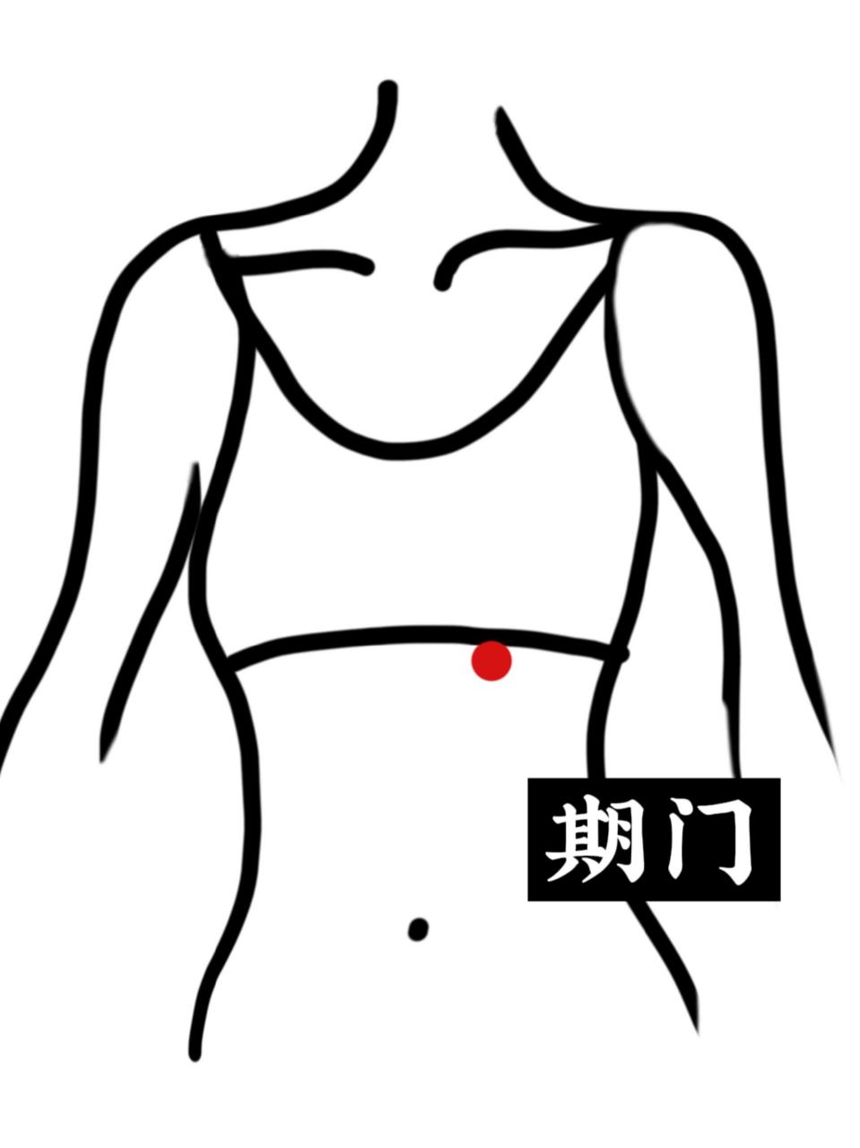 催乳的准确位置图片图片