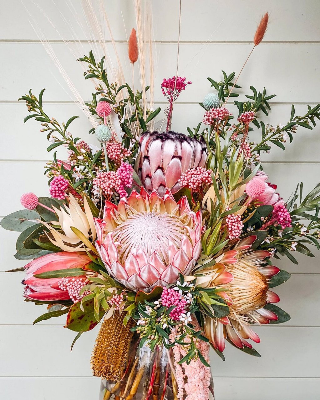 ins分享||花中之王95天生贵族～帝王花束 72帝王72 花语:胜利