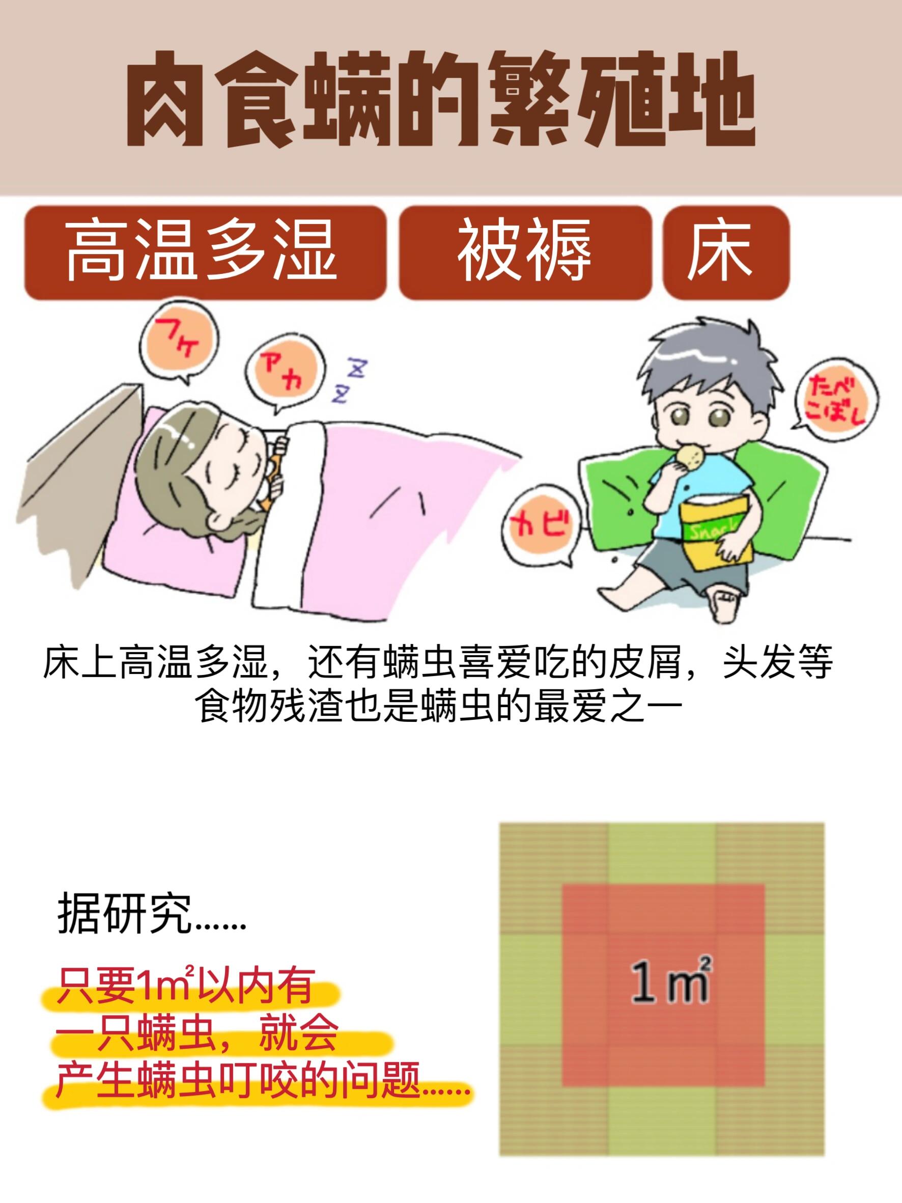 螨虫会跳吗图片