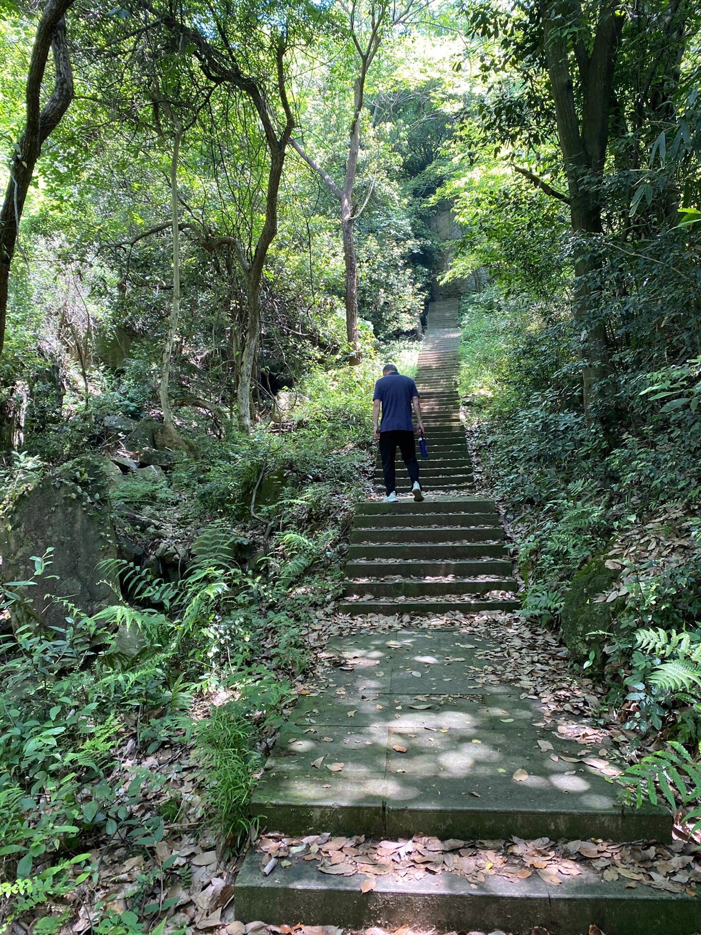 萧山欢潭大岩山风景区图片