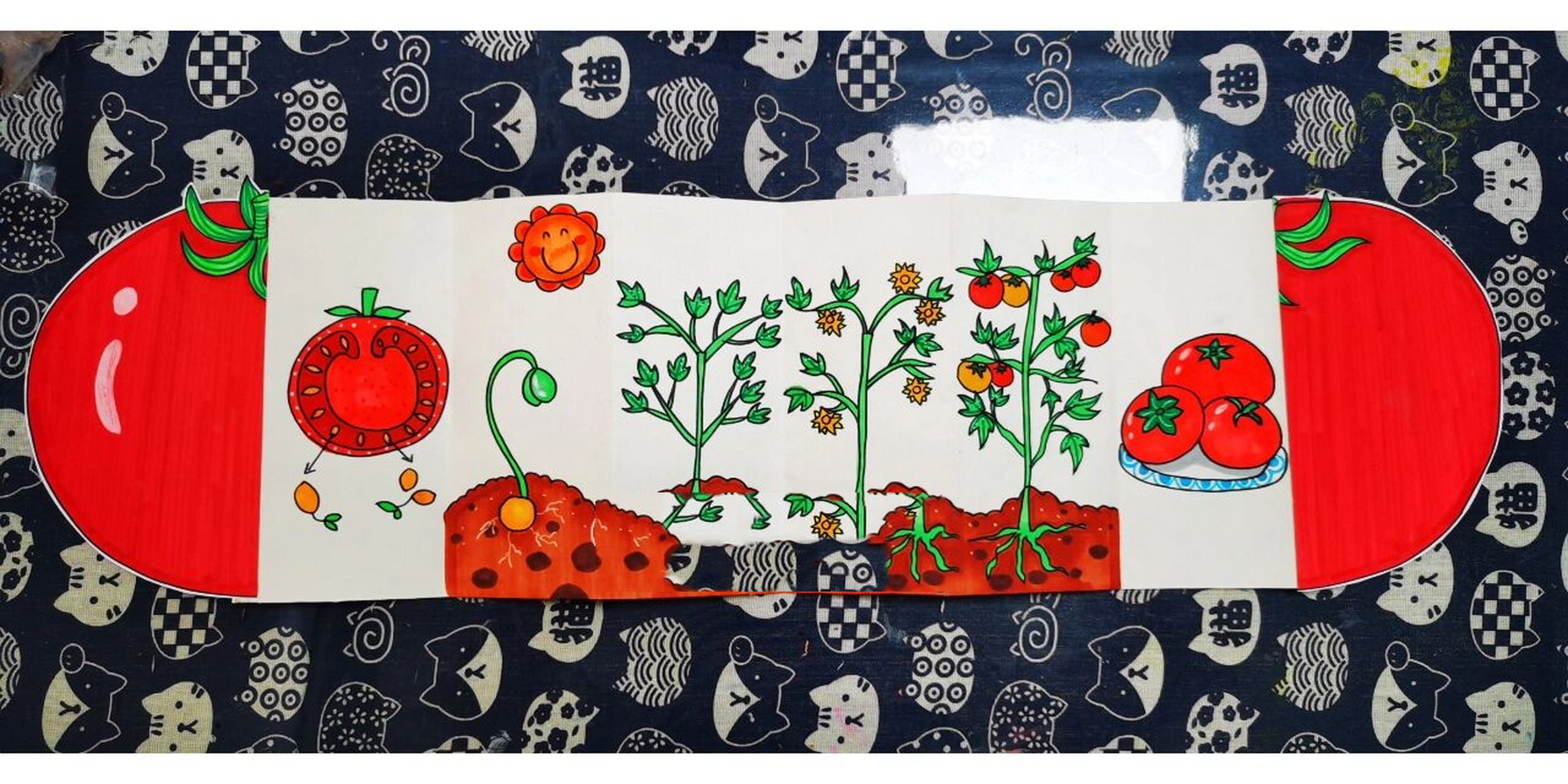 植物科普画:番茄的生长 适合7.