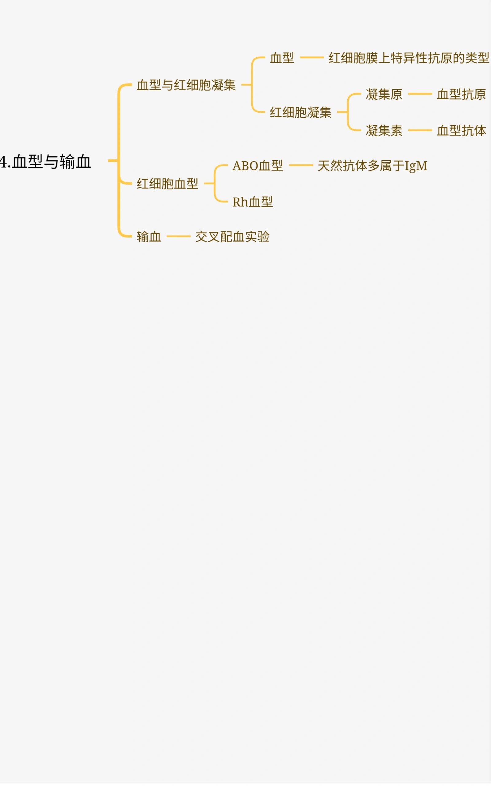 组胚血液的思维导图图片