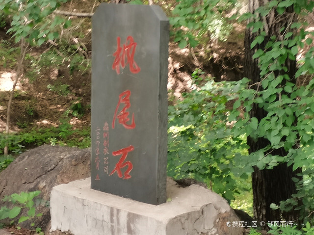 朝阳槐树洞,充满神秘的自然景观