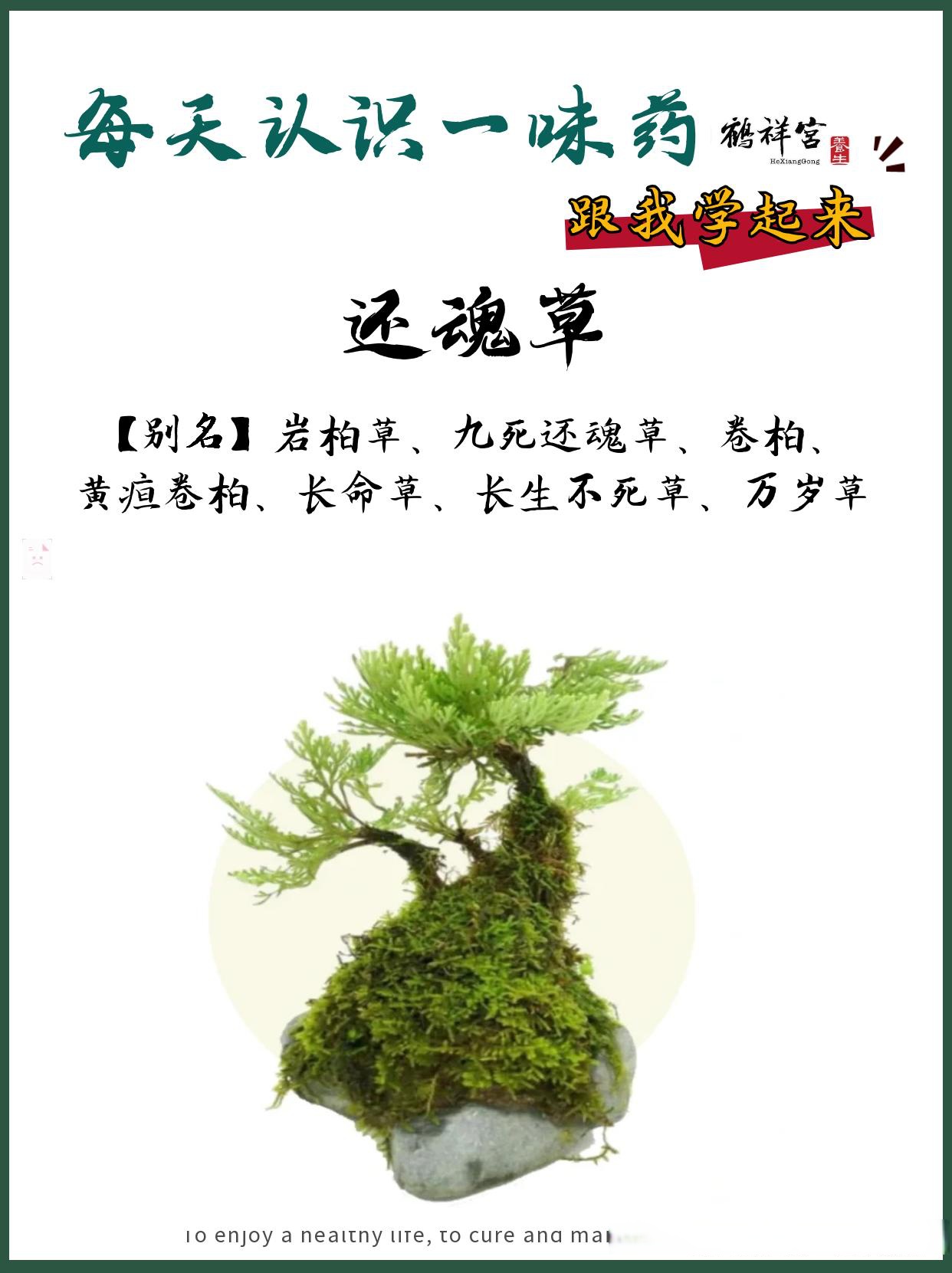 始于平凡, 生活不难, 难在持久,留住温情,.