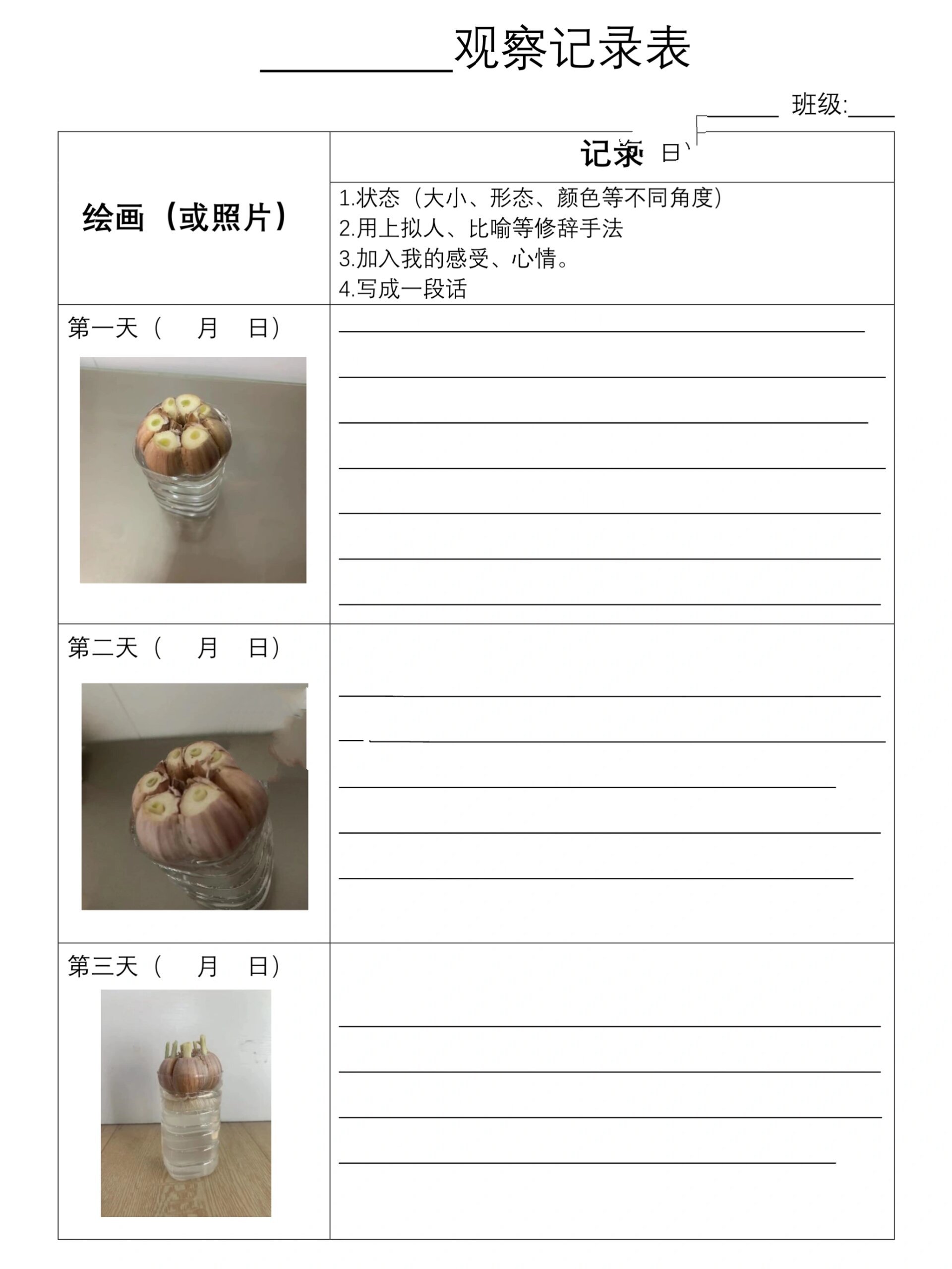 四年级语文蒜苗生长观察记录表写观.@烟火腾空的动态