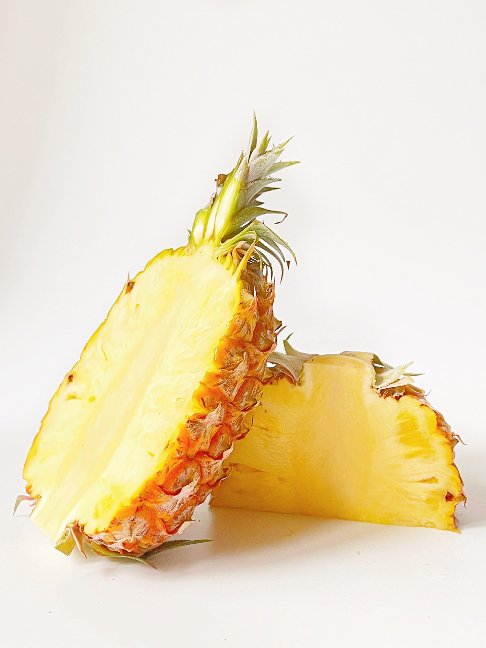 绘画素材173//凤梨(菠萝)