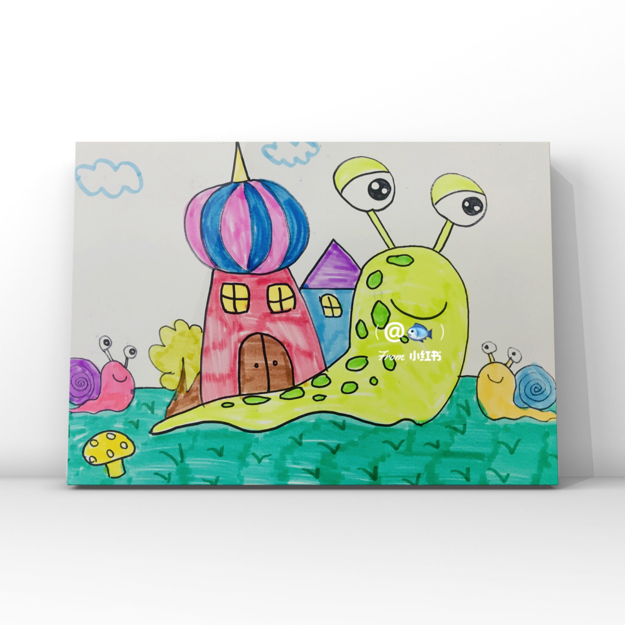 蜗牛的畅想 96的壳像背着的房子 通过蜗牛房子的主题 畅想蜗牛的