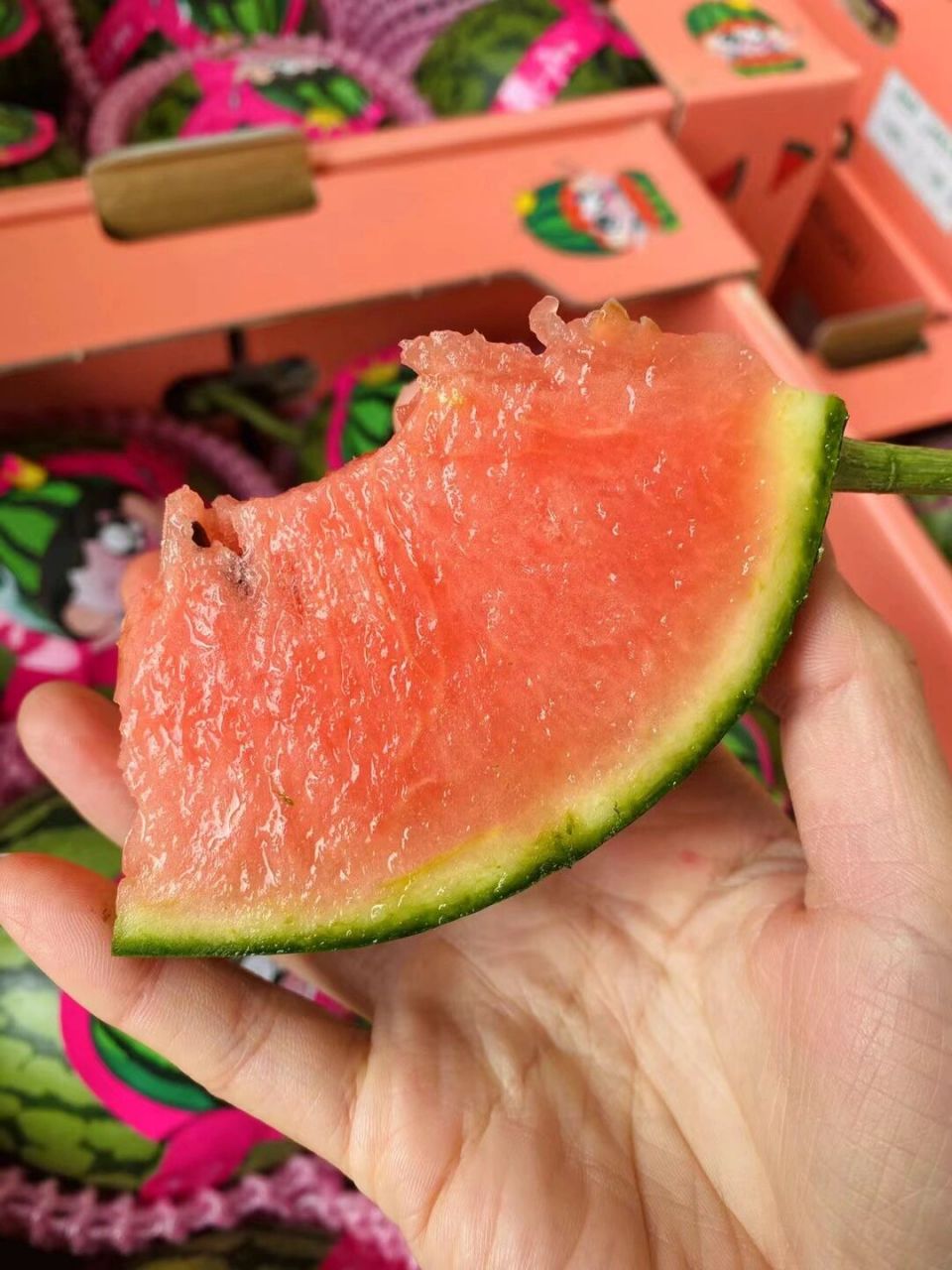 冰淇淋小糖丸西瓜吃过吗 上新95冰淇淋小糖丸爆瓜 	 妈妈再也不用