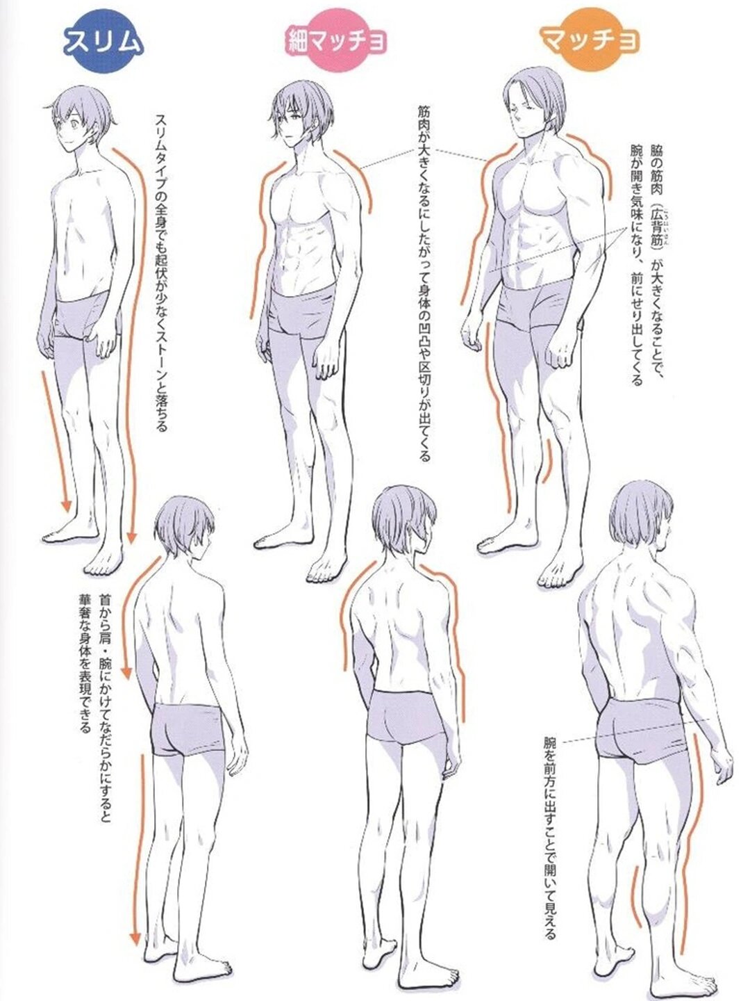 帅气的男性腹肌画法,还得看这套教程