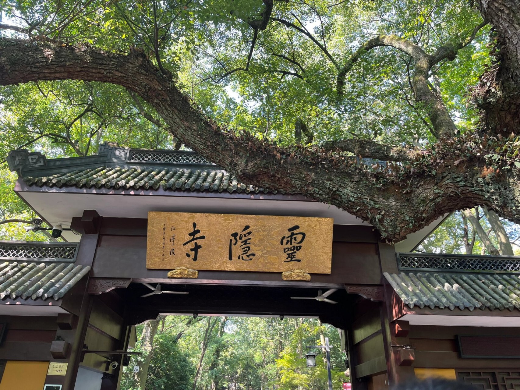 去飞来峰灵隐寺年轻人不要坐索道!