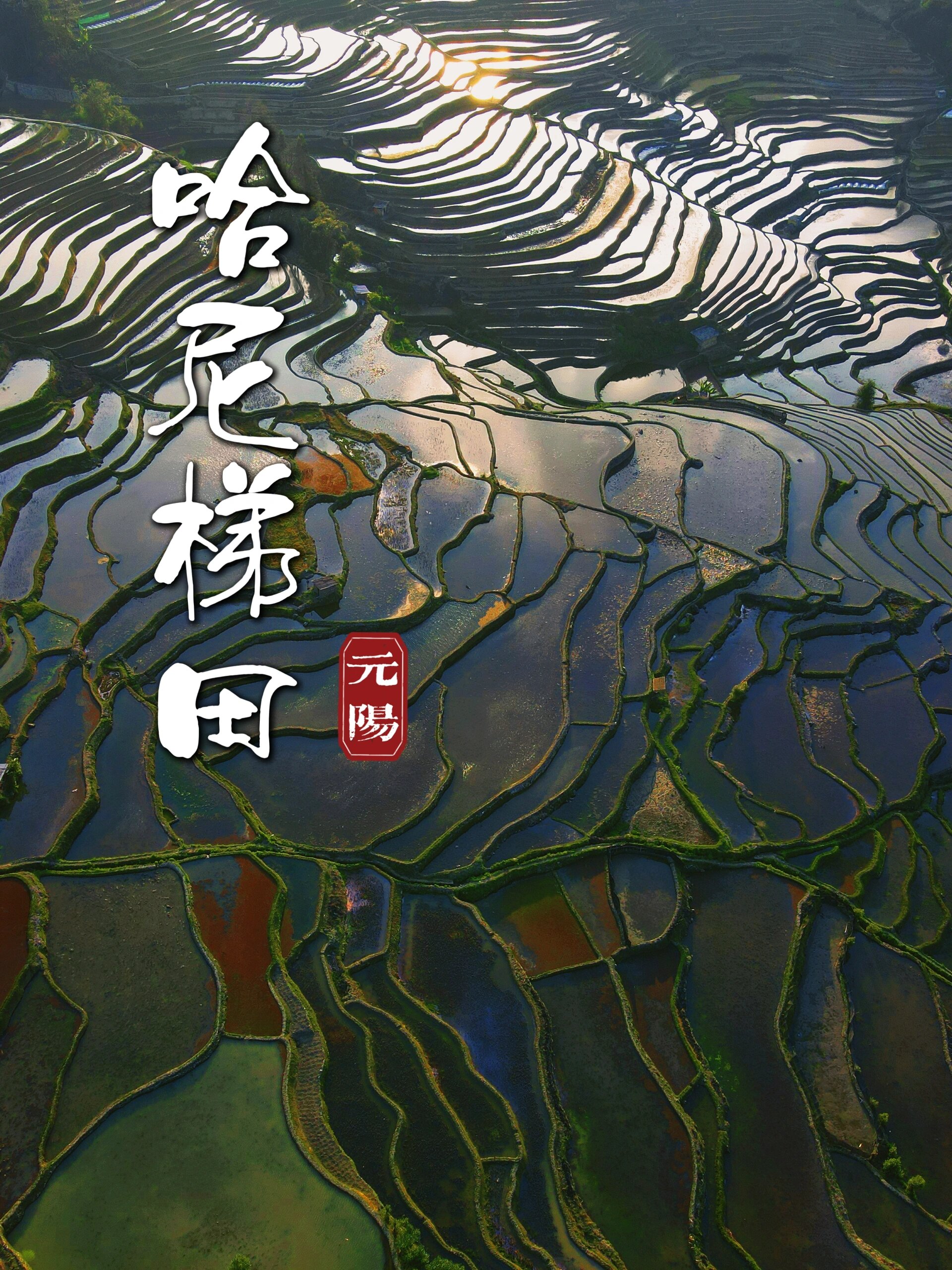 我的龙年新游记第十六站 99云南省红河哈尼族彝族自治州元阳县 99