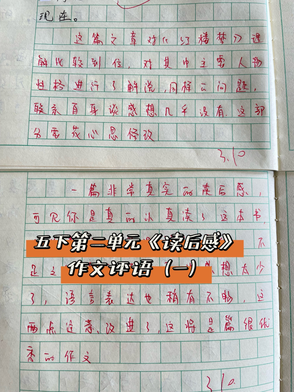 五下第二单元《读后感》作文评语(一)