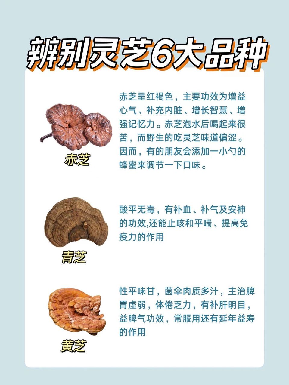 16615分钟了解灵芝,彻底搞清6大品种73 众所周知,96 灵芝种类