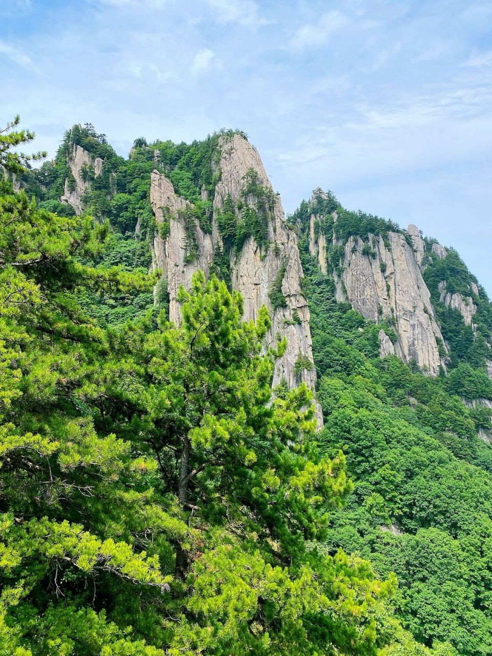 宝鸡天台山之鸡峰山 鸡峰山是宝鸡"生态后花园",它是宝鸡天台山国家级