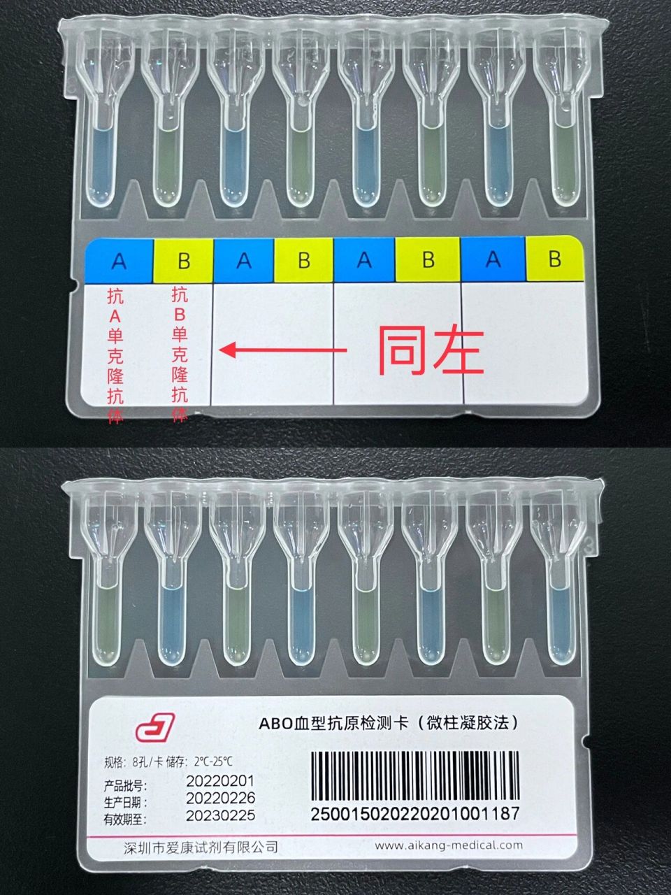 微柱凝胶法图片