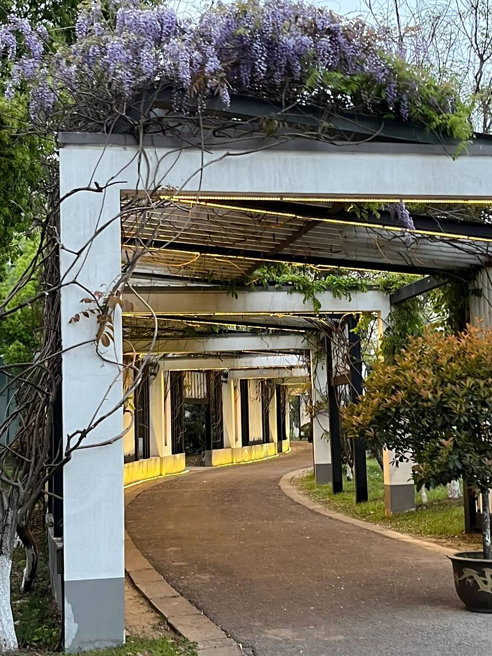 苏州工艺美术职业技术学院 应学弟学妹们要求来啦 还会给大家多拍的