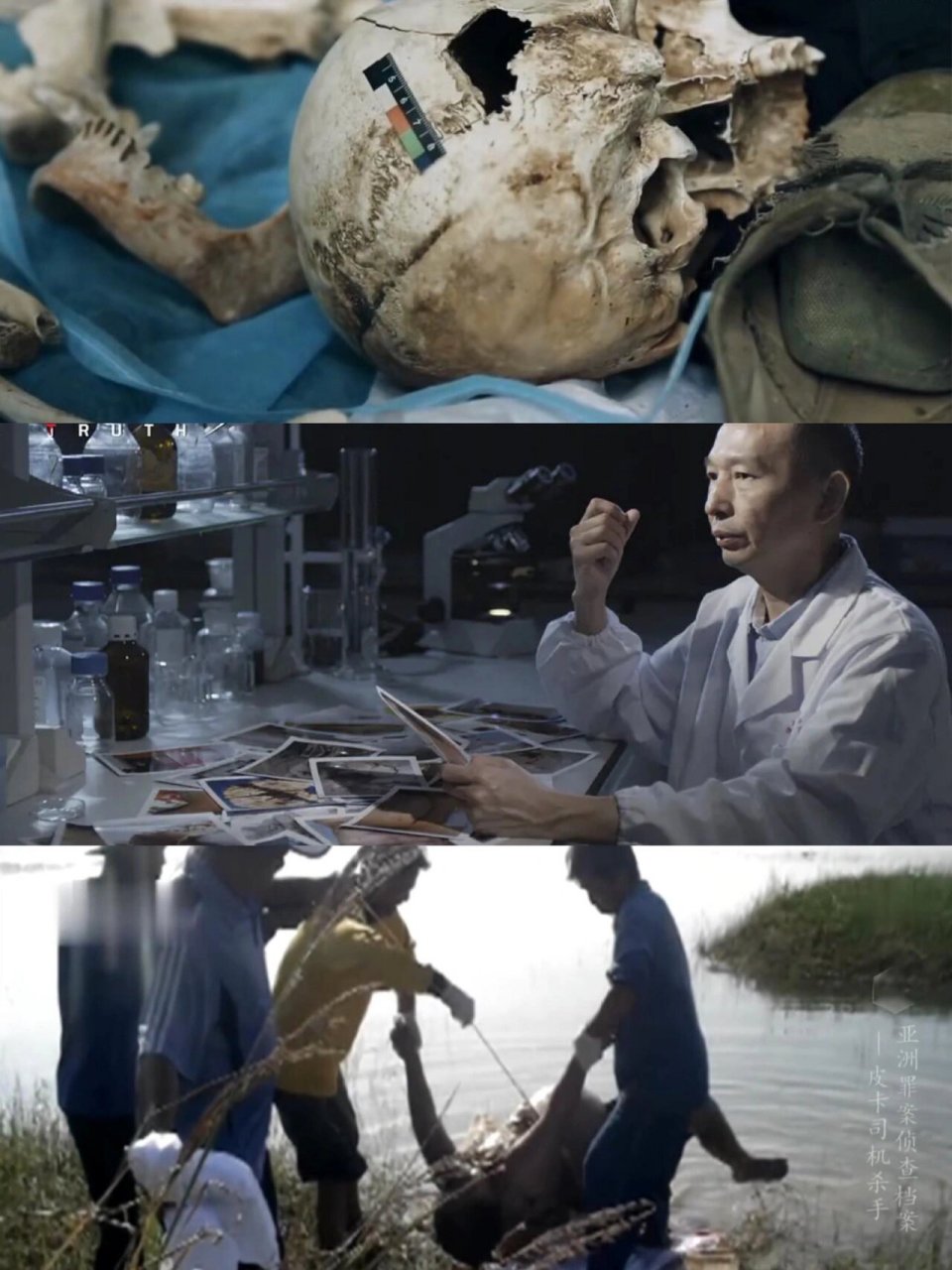 6部犯罪刑侦纪录片,部部高能! 97近期看的六部纪录片合集,比剧还香!