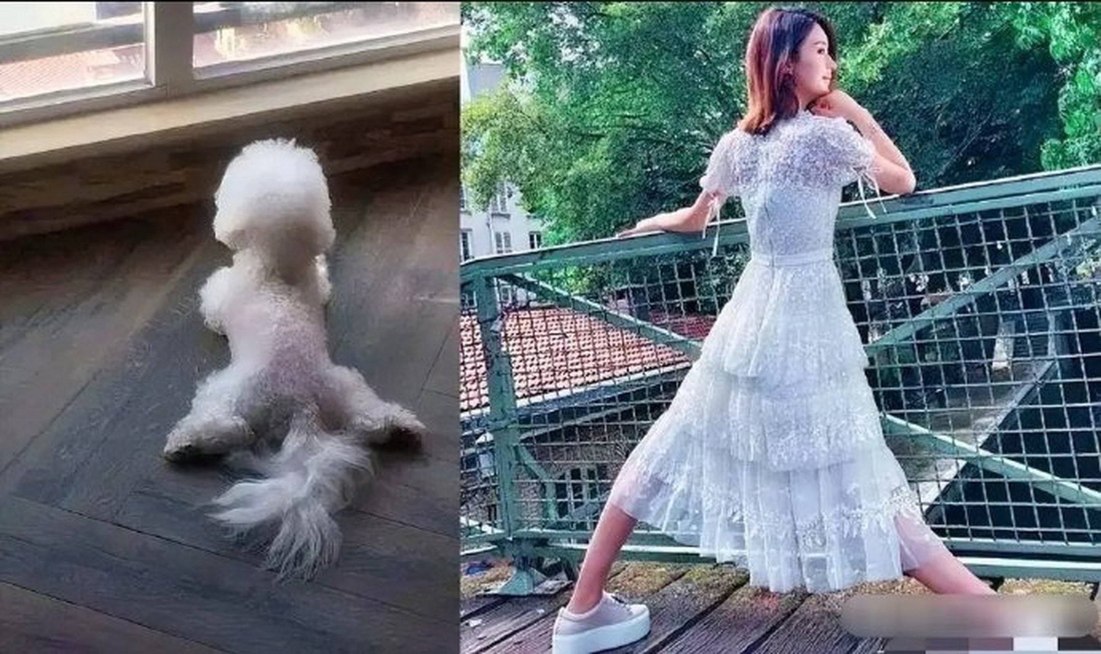 一直对赵丽颖没有好感的地方就是当年"劈叉"否认怀孕一事…… 明明