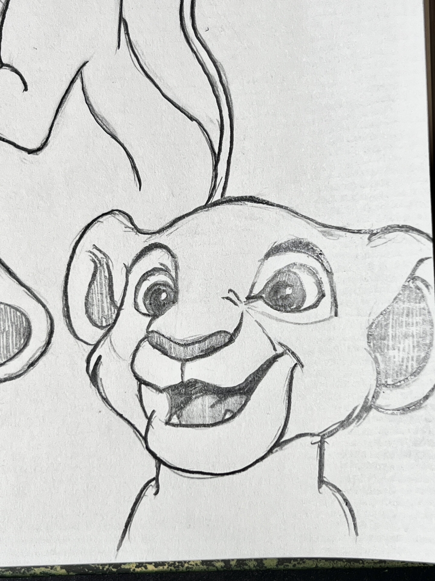 迪士尼速写|狮子王 粉丝们还想看我画什么可以评论留言告诉我