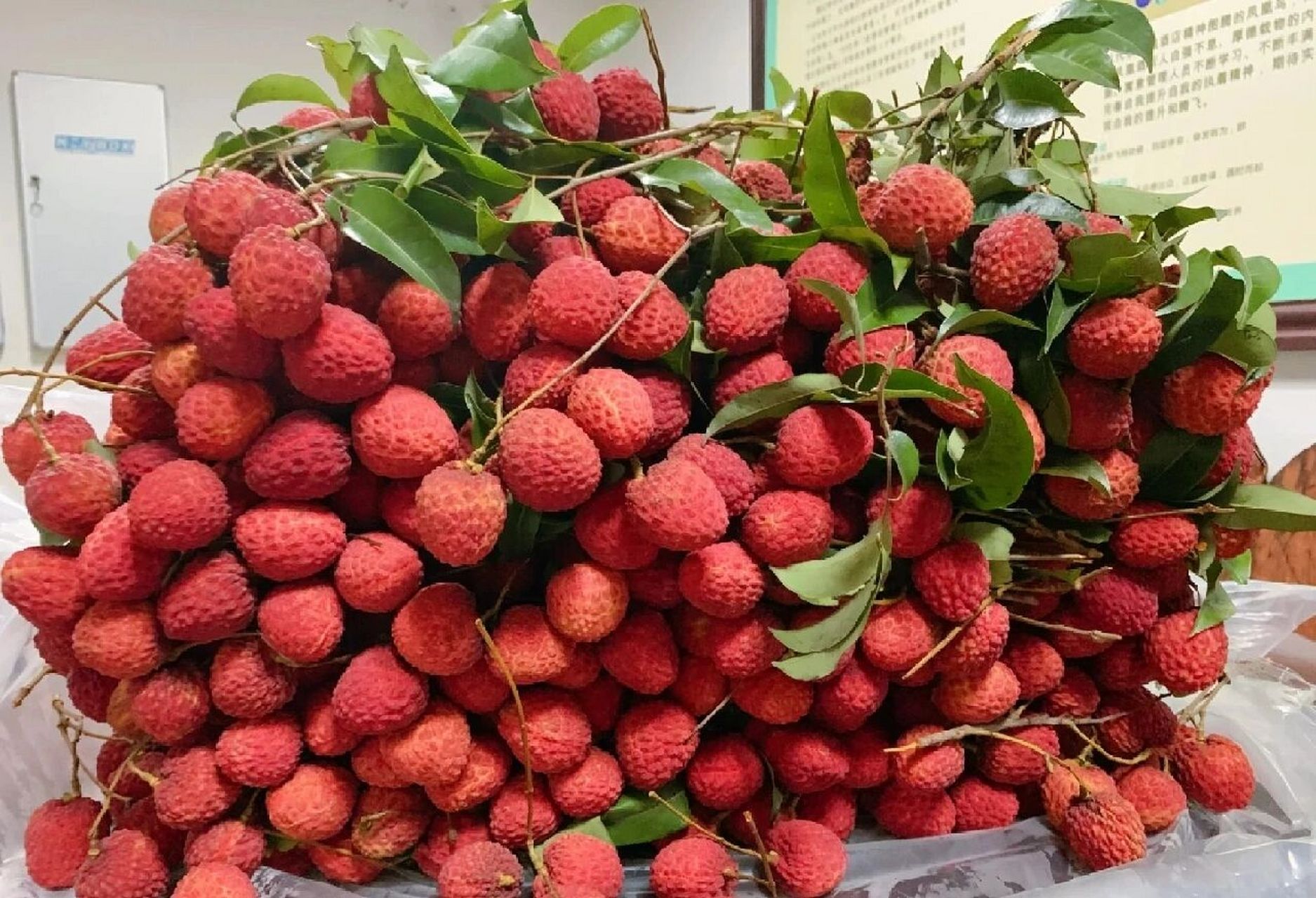 荔枝中的天花板 马上又到夏天了,最爱的就是荔枝!