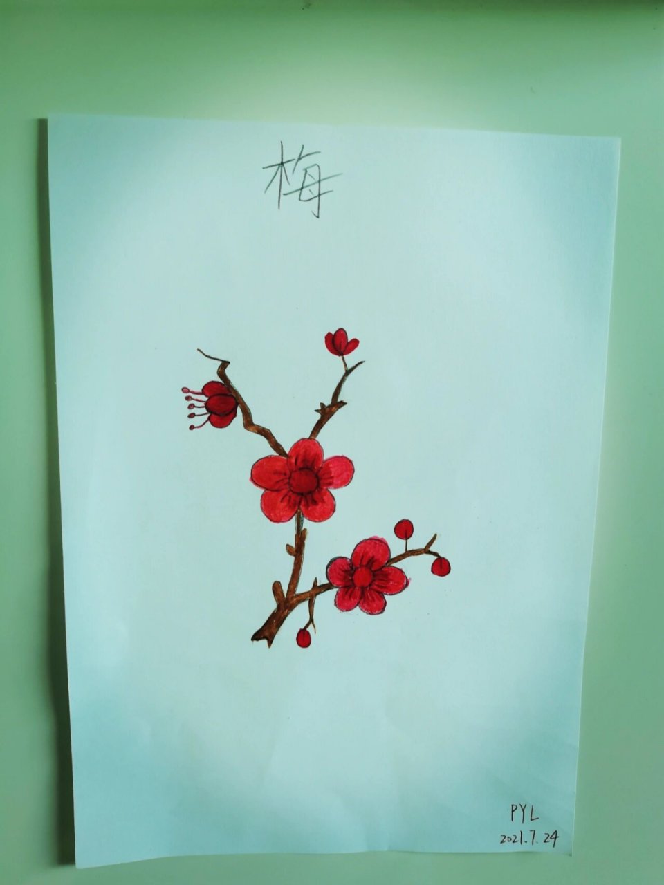 马克笔简笔画1|梅花 梅花 / 梅 宋61王安石 墙角数枝梅,凌寒独自开.