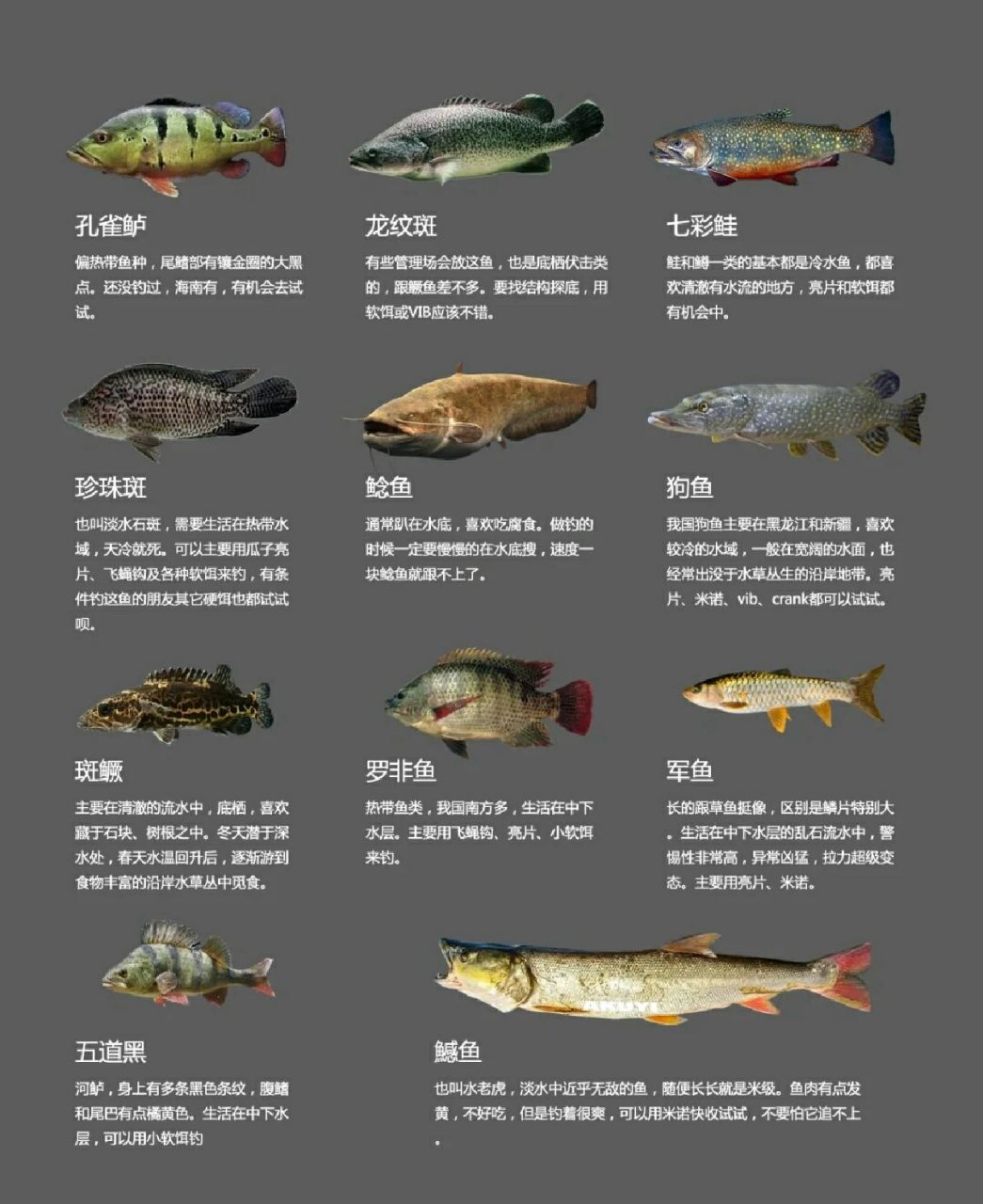 路亚鱼种大全 路亚鱼种大全