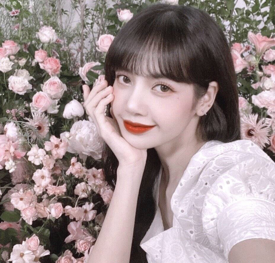 lisa头像合集～02