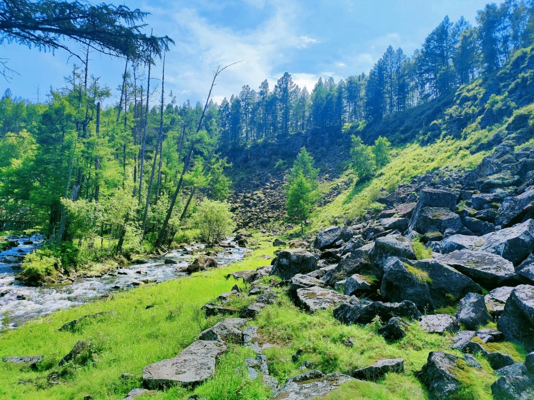 阿尔山国家森林公园——大峡谷 大峡谷在驼峰岭站下车,导去大峡谷的车