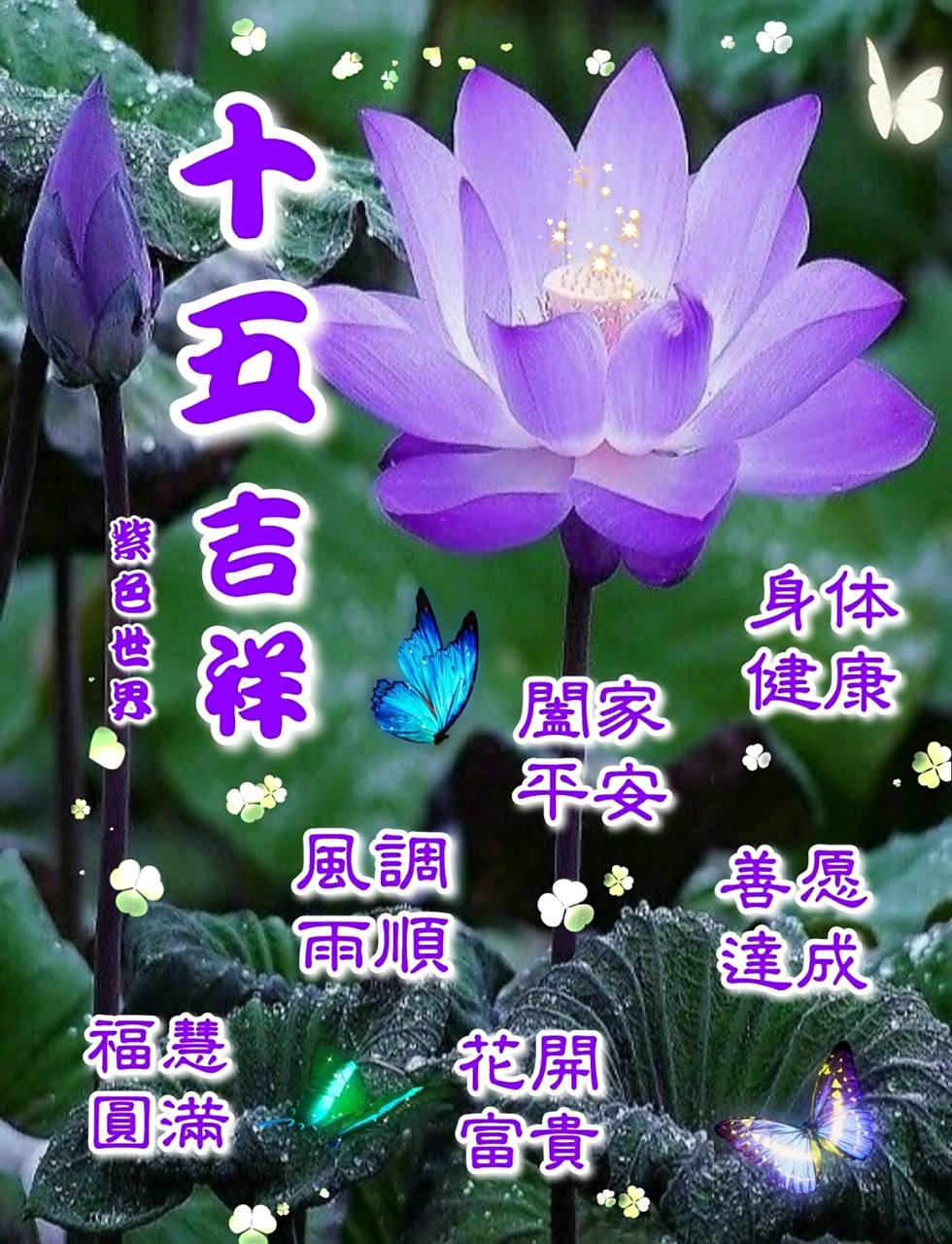 早安0599十五吉祥919493 90又到了祥和的清晨,今天是农历