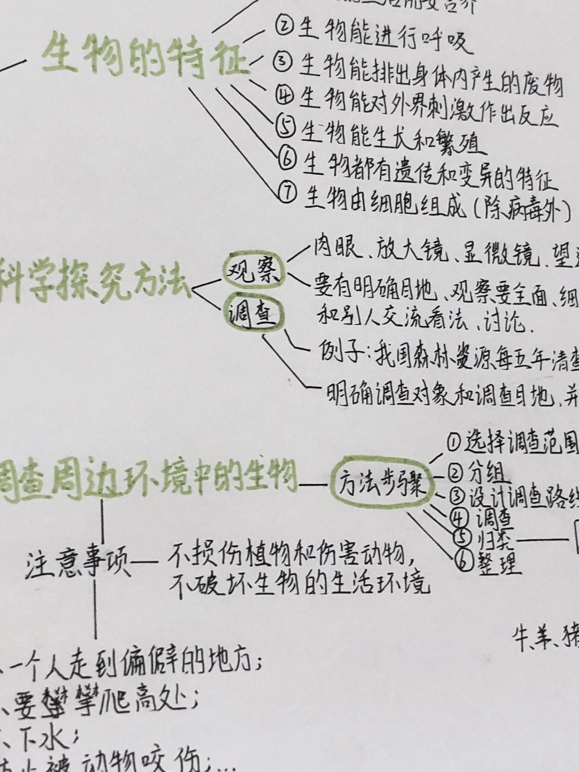 第一单元思维导图生物图片