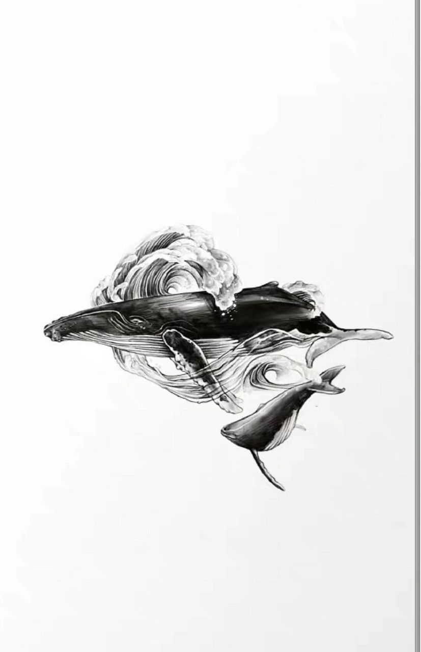 鲸鱼纹身手稿图案分享 (2)    图案手稿