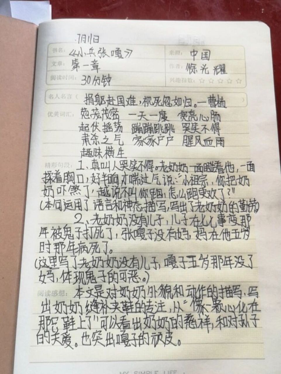 小兵张嘎阅读记录卡图片