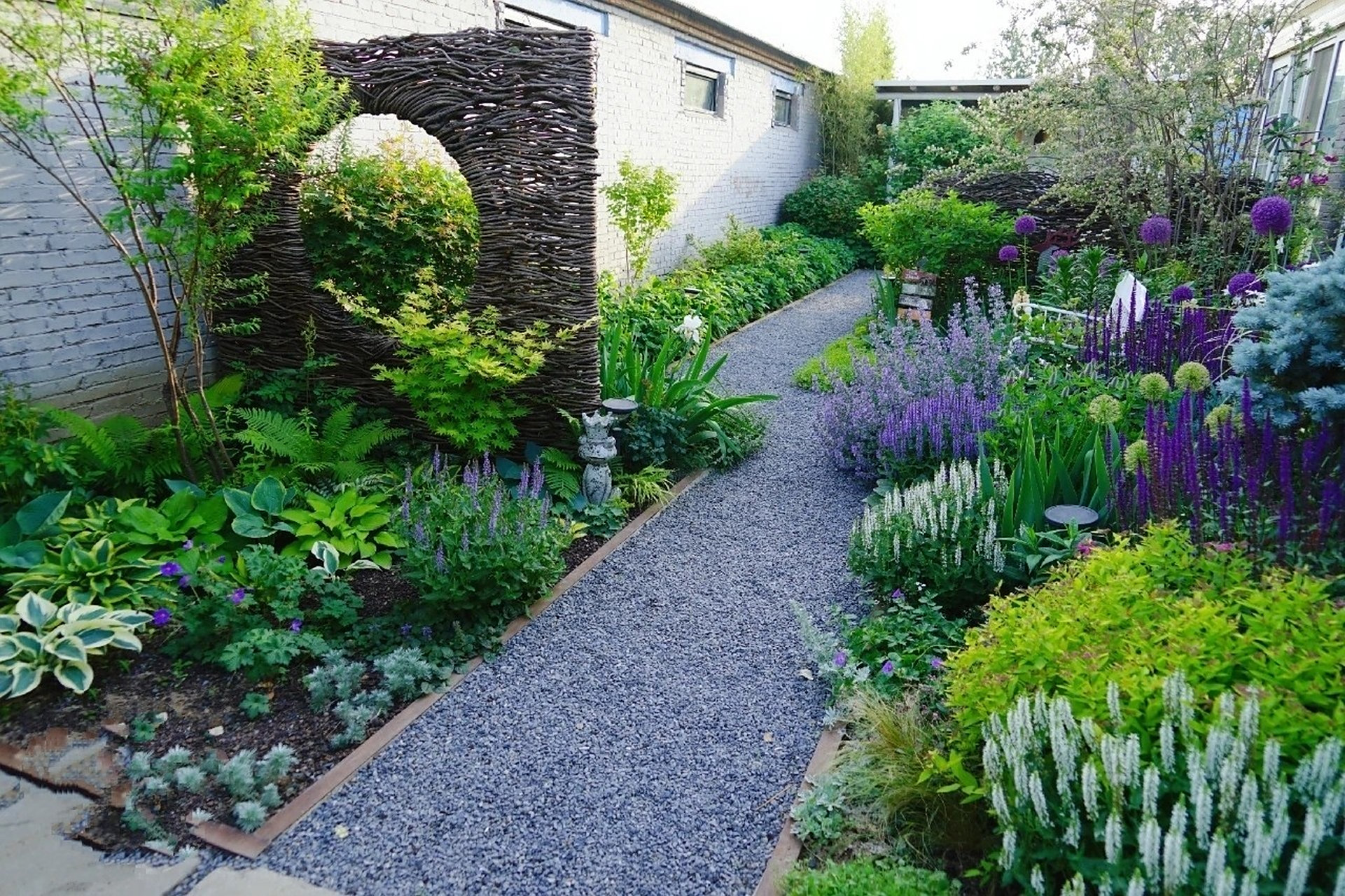 省心的耐阴花境——玉簪 91北京绿化常见的玉簪,过冬只需要简单覆盖