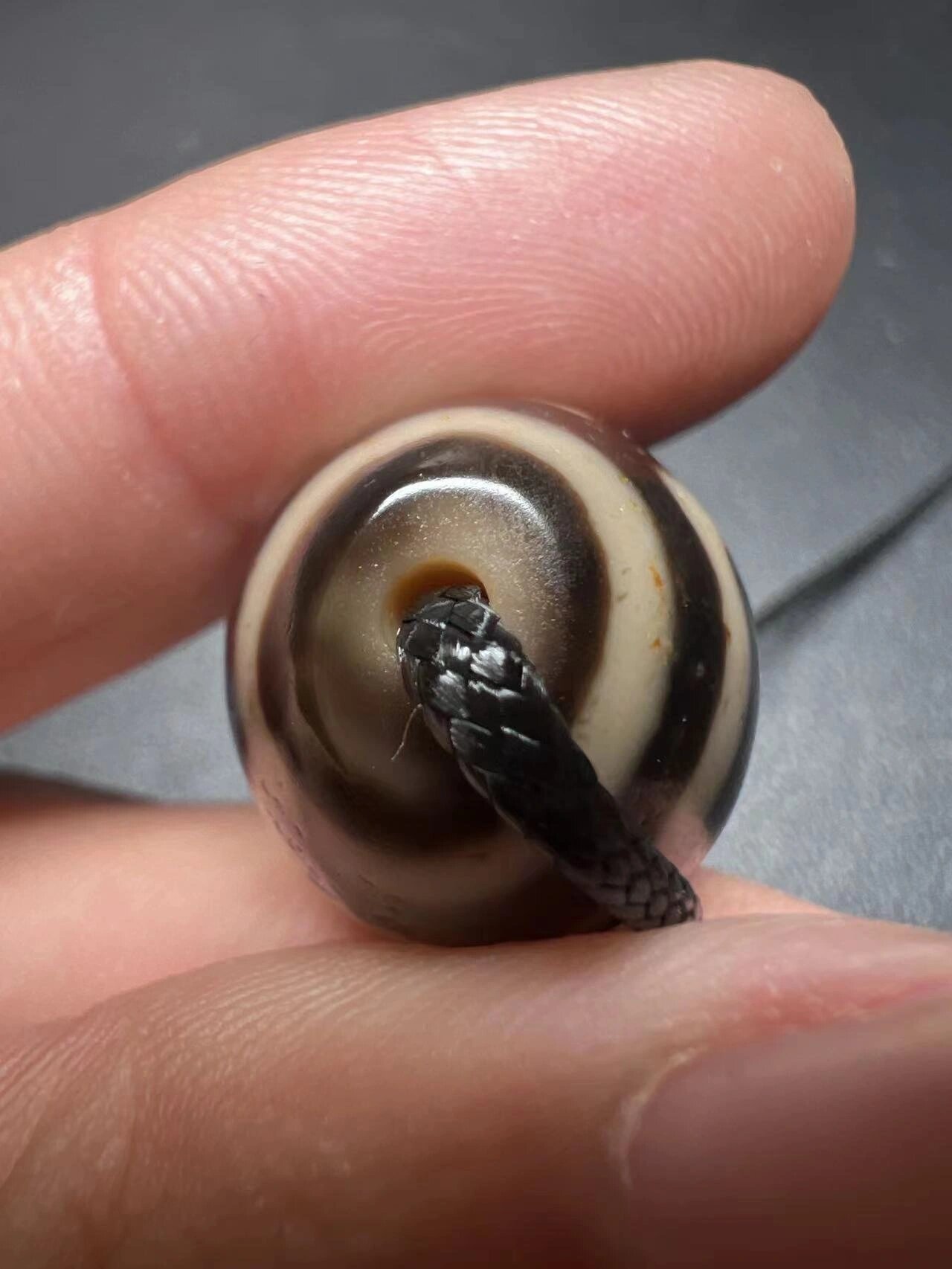 台湾老冯纯手大鹏鸟达洛天珠902500