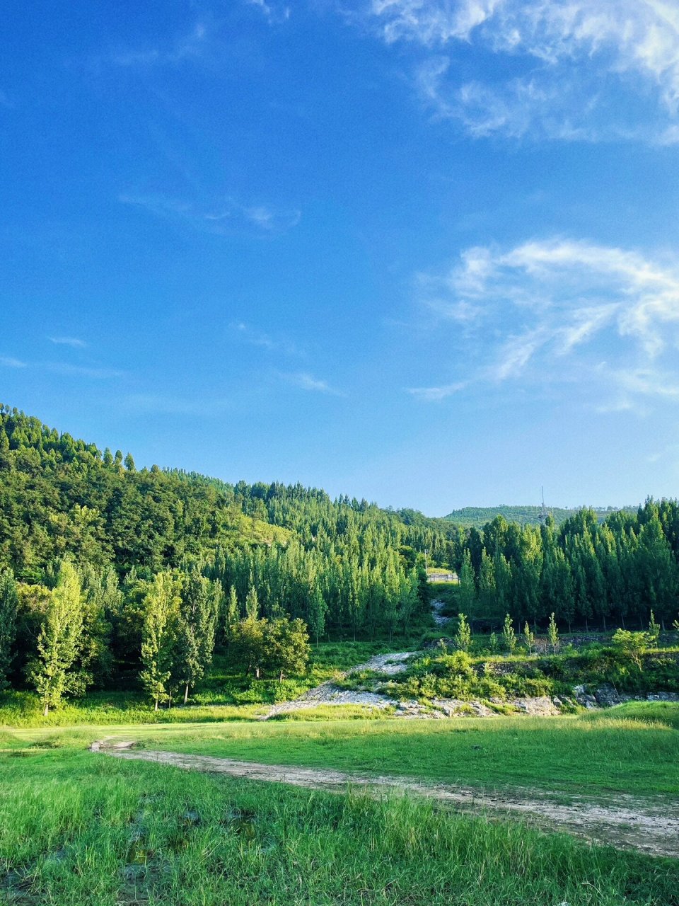 淄博小新疆 沂源小黄庄  淄博的沂源,真的值得向大家安利,小县城的慢