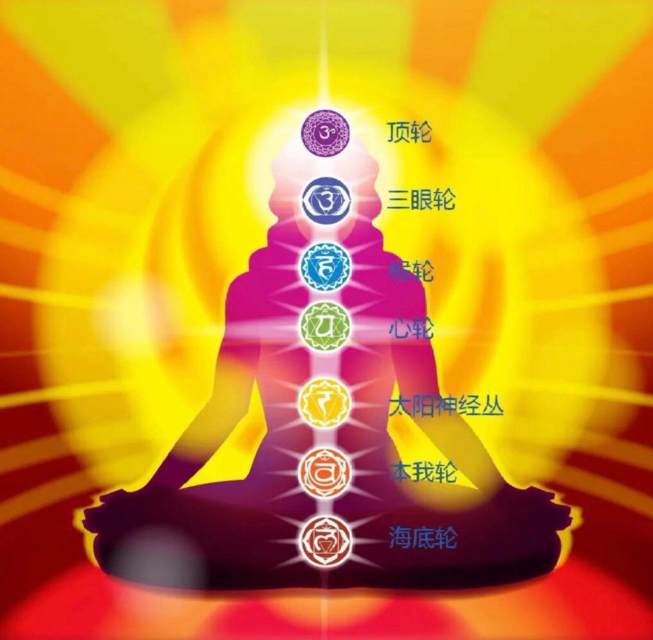 人体七大脉轮 一,海底轮 代表生存,物质,安全感,肾上腺   对应尾神经