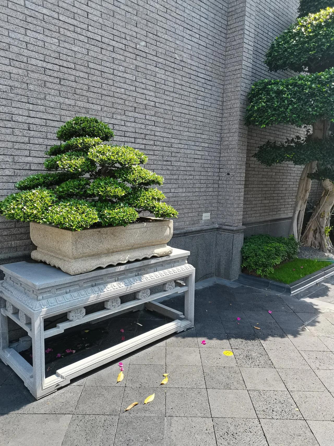 没有人能够一生都不犯错,也没有人