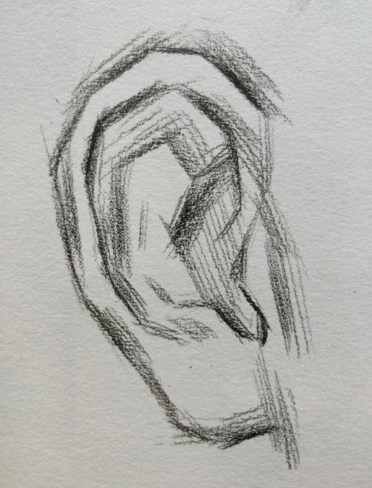 素描耳朵局部步骤图来咯