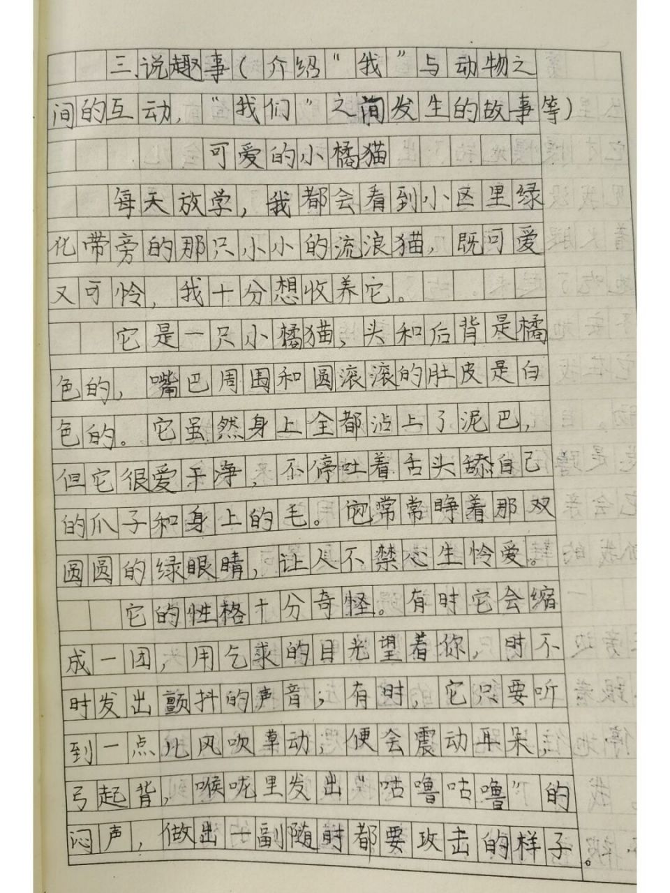 四下《我的动物朋友—小橘猫》 #四年级作文# #四年级语文