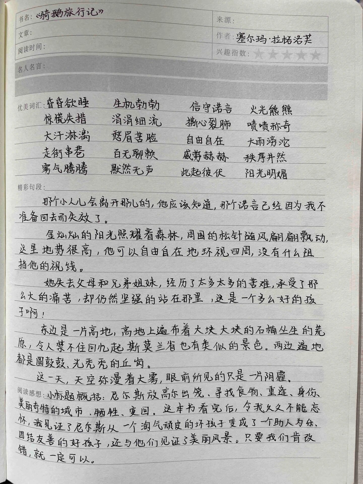 《骑鹅旅行记》读书笔记