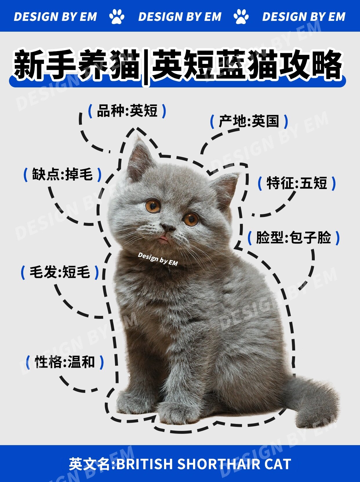 猫配色表英短图片