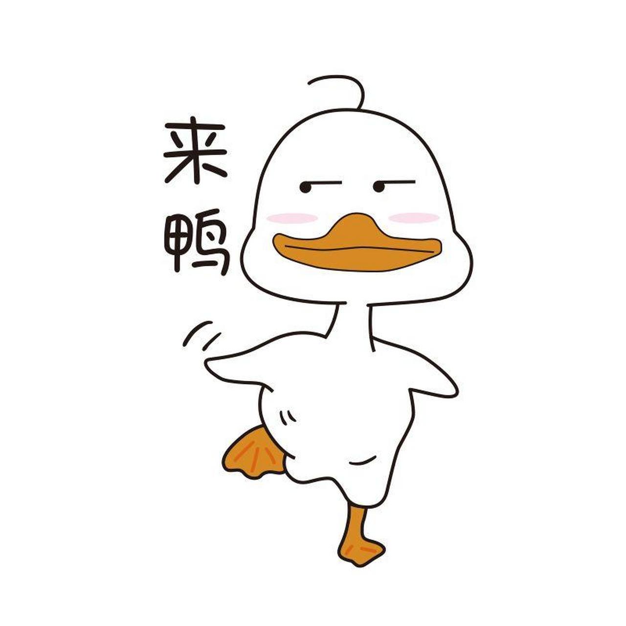 哥哥,看着一个长发飘飘的美女,就连忙上前卖起了他的鸭:"美女,好迈鸭