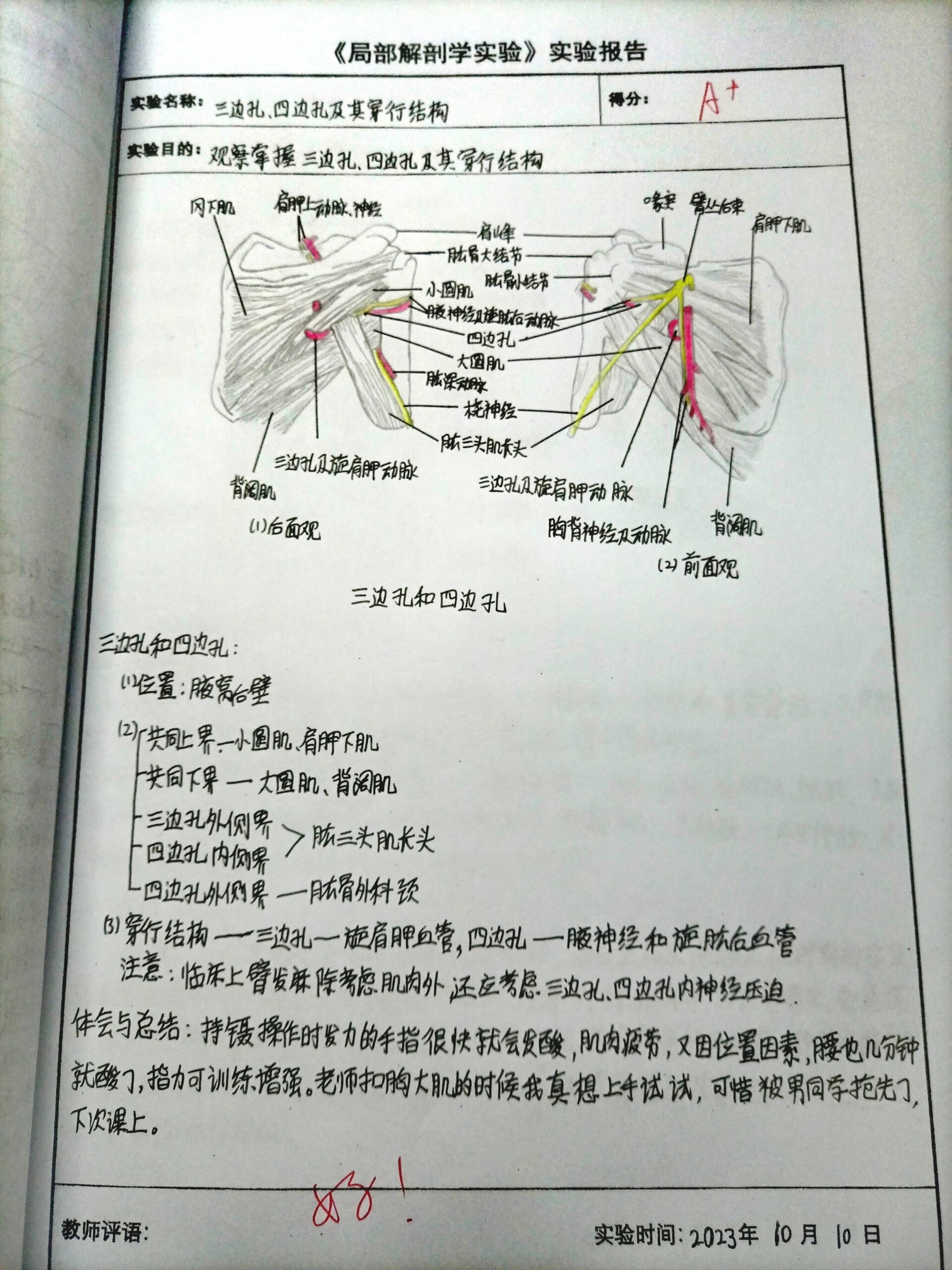 局解实验报告4三边孔四边孔