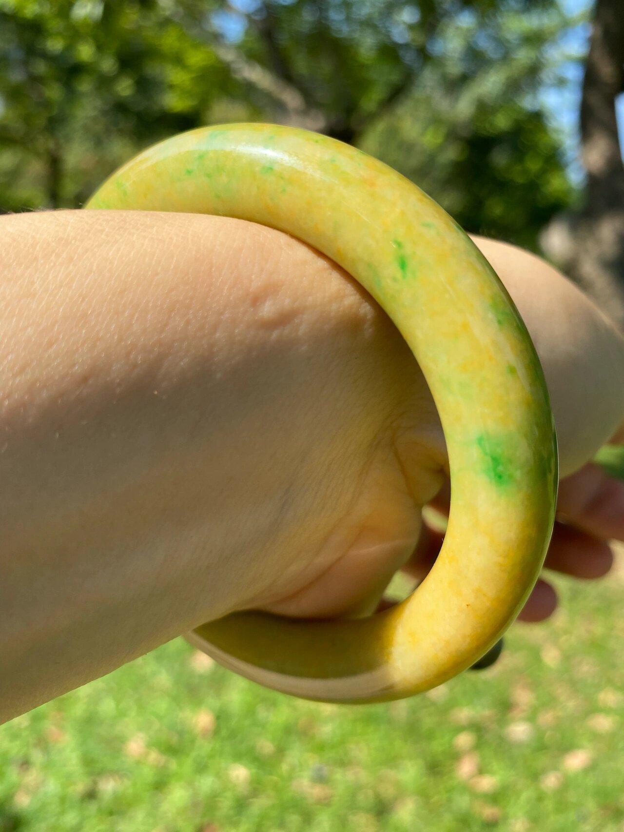 老坑极品黄加绿翡翠手镯 老坑糯种黄加绿老翡翠手镯 真正的纯种黄加绿