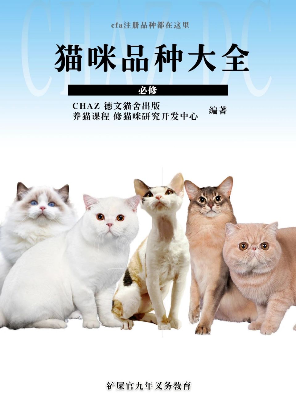 猫咪品种大全|你不认识的猫咪都在这里了 93阿比西尼亚猫