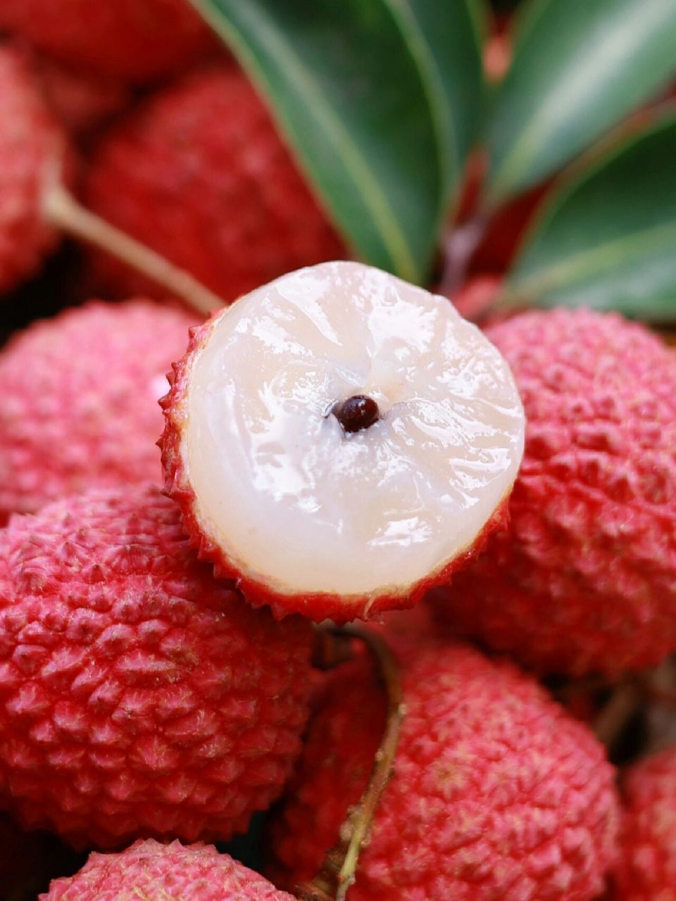 1, 你可以永远相信桂味荔枝4159 入口是淡淡桂花香汁水丰盈 核小