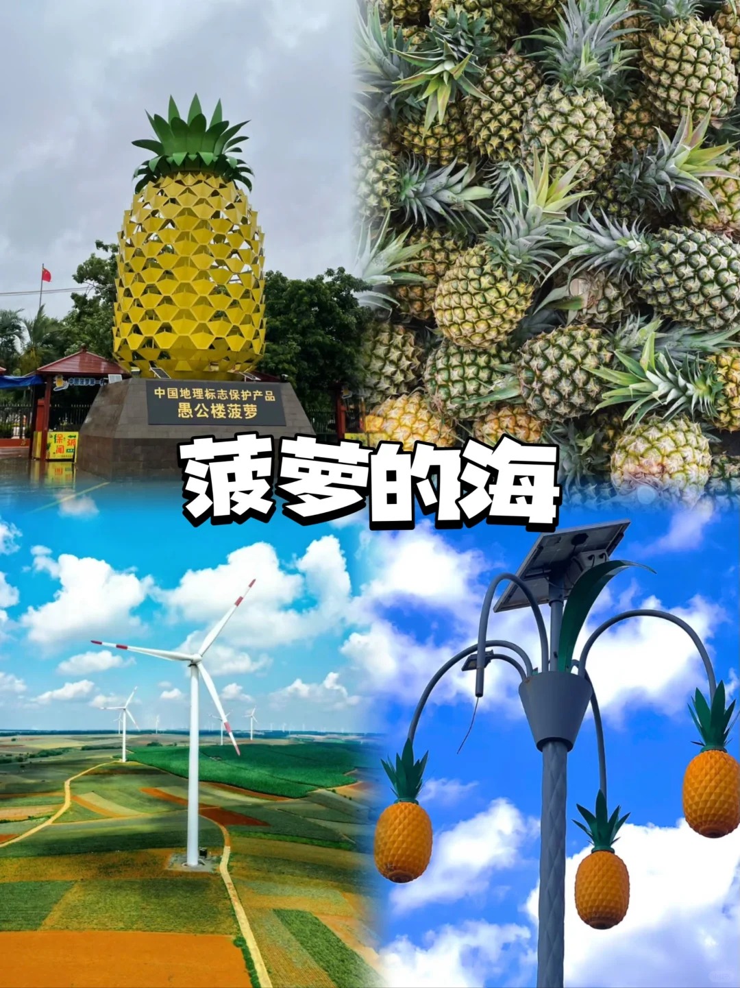 徐闻港附近景点