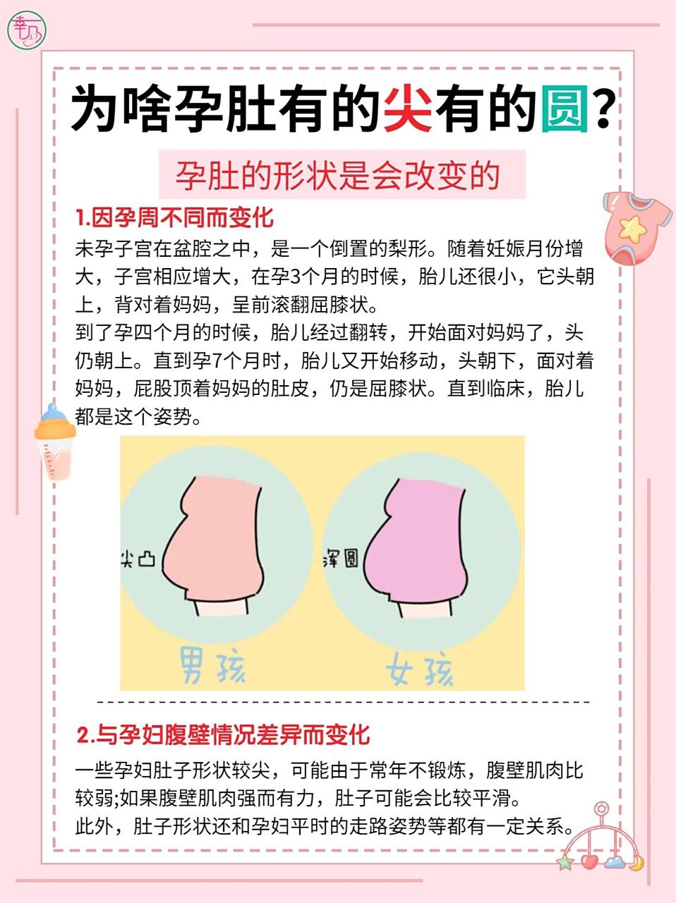 孕妇肚子"尖儿圆女"是真的吗71 0299肚子尖是男孩还是女孩:其实