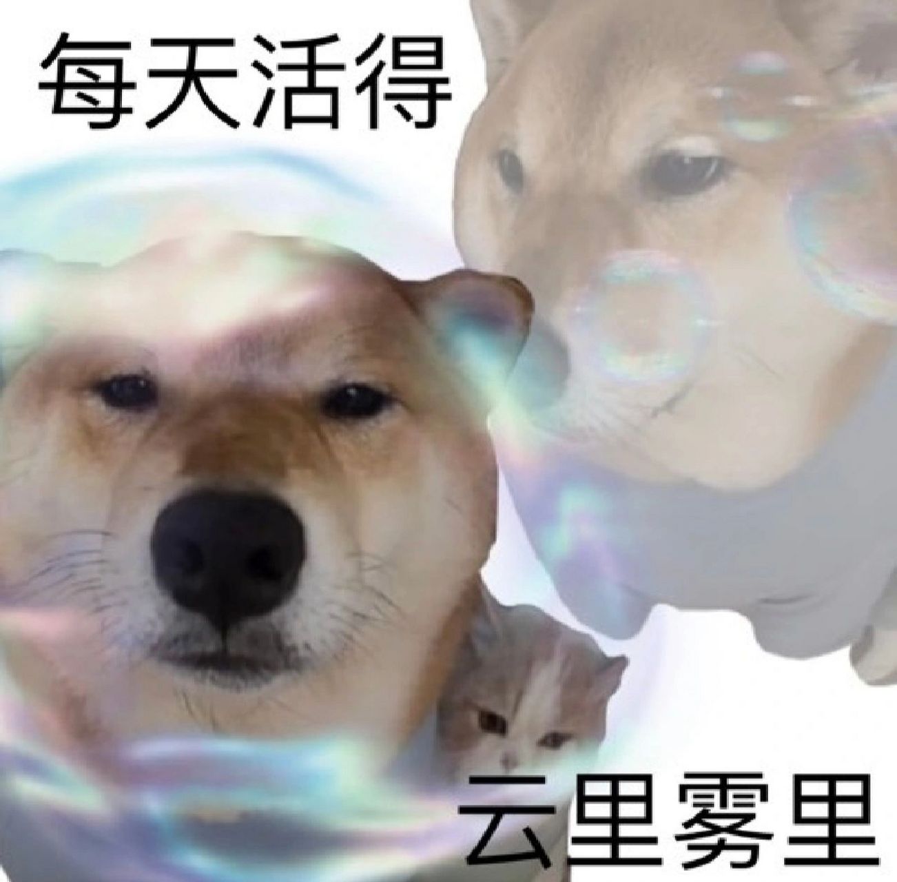 《灵魂出窍》表情包合集