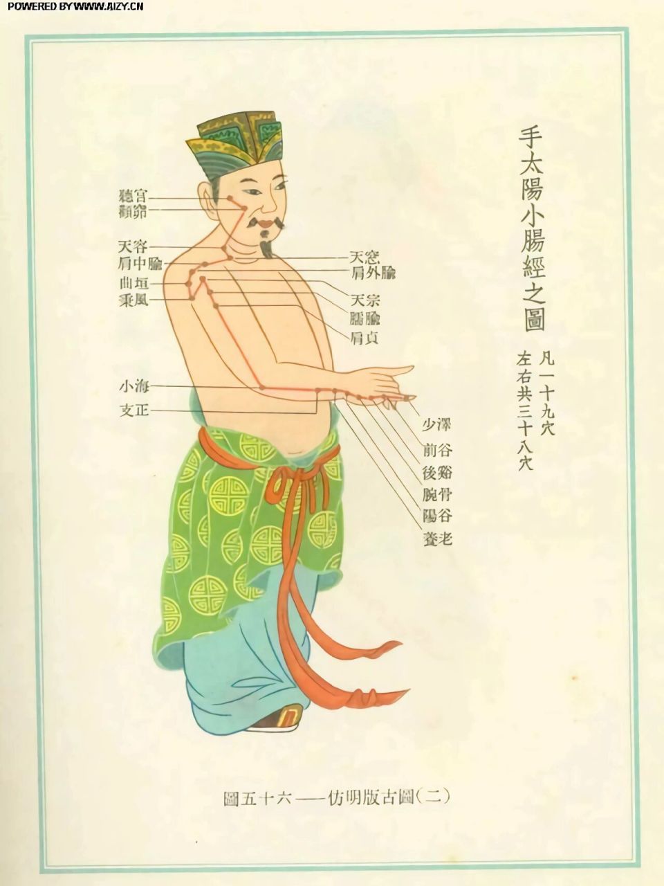 十二经络 高清图解(手三阴三阳)